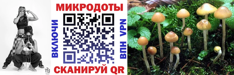 Галлюциногенные грибы Magic Shrooms Полевской